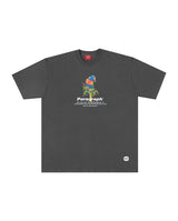 paragraph 8 Color [送料無料]正規品 (6542407762038)