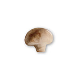 マッシュルームグリップ / MUSHROOM GRIP TOK