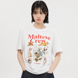 マルチーズクルー半袖Tシャツ/Maltese crew half sleeve tshirts