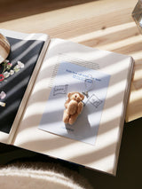Cosymosy 'Cheer Up' Teddy bear Keyring Card - 5 Color