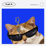 ビッグキャット ブラック ゴーグル / Big Cat Black Goggles