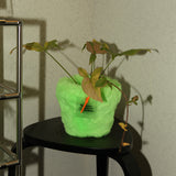 フラフィーポット / FLUFFY POT (L / GREEN)