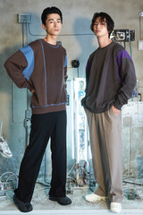Color Blocked Sweatshirt Ver.1 (6593888419958)