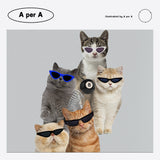 サングラスキャットクラブ / sunglasses cat club