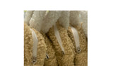 teddy bread bag - m