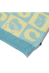 Hope Checker-Board Knit Vest_Mint (6678732046454)