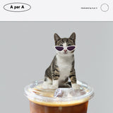 キャットスターアイスフラットホワイト/Cat Star Ice Flat White