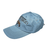 DUCK X RACOON CAP (6629595316342)