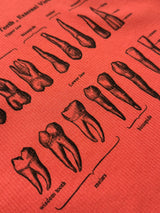マイティースノースリーブTシャツ / My Teeth Sleeveless Tee ORANGE