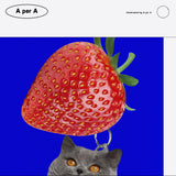 ビッグ ストロベリー グレーキャット / Big strawberry gray cat