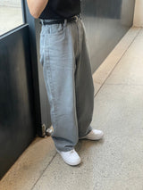 Ash daily pants