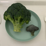 ブロッコリースマホグリップ / Broccoli griptok
