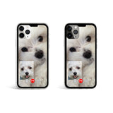 ジェリーフォンケース マルチーズフェイスタイム / Jelly phone case maltese facetime