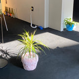 フラフィーポット / FLUFFY POT (XL / PINK)