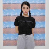 Fetching lace T-shirts (black) (6684249653366)