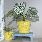 フラフィーポット / FLUFFY POT (XL / YELLOW)