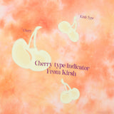 キルシービッグチェリーダイイング半袖Tシャツ／BIG CHERRY DYEING SHORT SLEEVE T-SHIRT[ORANGE] (6695793328246)