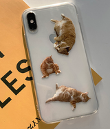 ストリートKキャットケース / Street K cat case