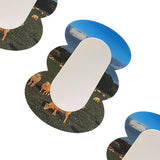 Cloud mirror (sheep)