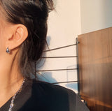 Amant Chubby Earrings (6575008448630)
