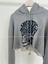 a street cropped hoodie