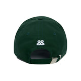 LAB Washing curved ball cap (6669276840054)