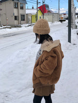 デンロクウールマスタング