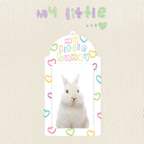 マイリトルバニーフォトカードホルダー / my little BUNNY photocard holder