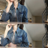 [Bellide made