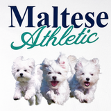 My Sugar Babe × WaiKei Maltese Athletic Tee