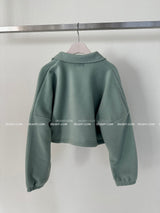 Fleece 6 color collar cropped sweatshirt