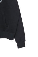 fleece mystic hoodie