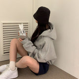 エンブロイダリー２wayフーディジップアップ