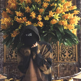 4:20 ハット / 4:20 HAT BLACK - MJN (4442864681078)