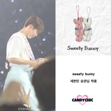 スウィーティーバニー / [seventeen JEONGHAN, S.COUPS, WOOZI, SEUNGKWAN / zerobaseone Zhang Hao, RICKY] sweety bunny