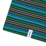 GOTHIC ARCH LOGO STRIPED LS TEE