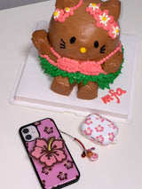 アロハエポキシーケース + アロハトックセット / aloha epoxy case + aloha tok set