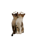 モリスパンツ