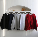 ASCLO Double BR Sweat Shirt (5color) (6691049013366)