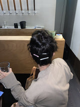 ロゴヘアクリップ ver. 2