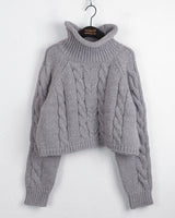 Jirun Twisted Turtleneck Polar Long Sleeve Knit