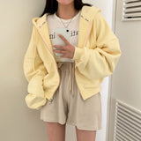 エンブロイダリー２wayフーディジップアップ