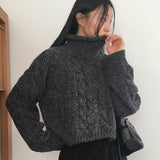 Jirun Twisted Turtleneck Polar Long Sleeve Knit