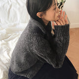Jirun Twisted Turtleneck Polar Long Sleeve Knit