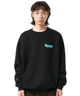 ベーシックロゴスウェットシャツ / BASIC LOGO SWEATSHIRT (4565055242358)