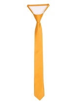 No.0072 satin basic auto necktie (9color)