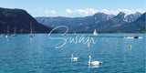 [Mouse Pad] Alps Swan