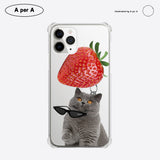 ビッグ ストロベリー グレーキャット / Big strawberry gray cat