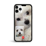 ジェリーフォンケース マルチーズフェイスタイム / Jelly phone case maltese facetime