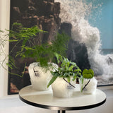 フラフィーポット / FLUFFY POT (M / WHITE)